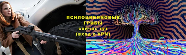трава Кукмор