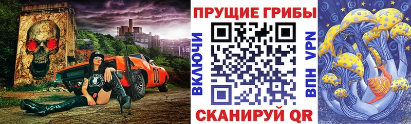 Купить где  Мглин  Псилоцибиновые грибы мицелий 